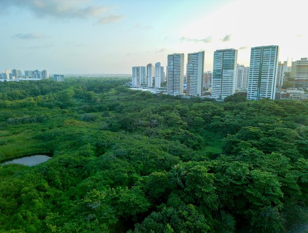 La quotité disponible : clé d'une succession réussie