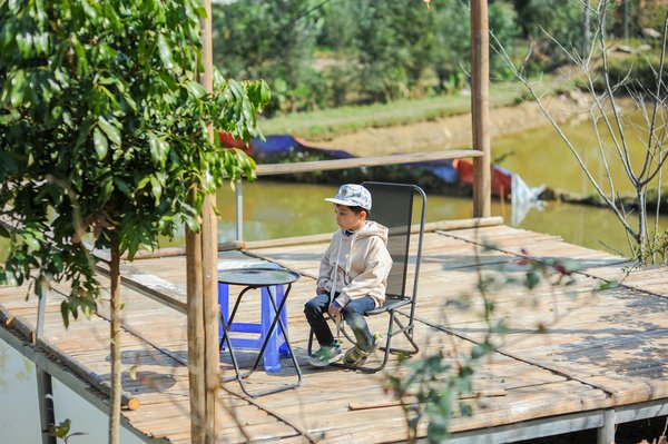 Maîtrisez l'Art de la Peinture : Le Guide Complet pour les Nouveaux Artistes