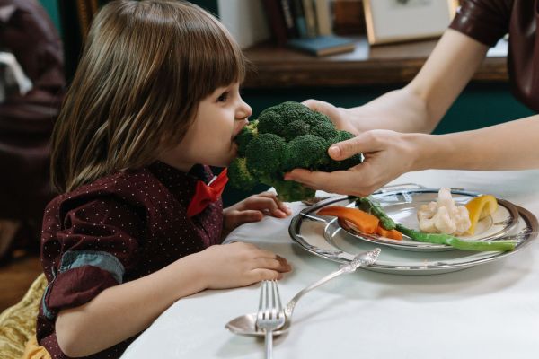 Inspirez vos enfants au véganisme et à l'éco-éducation : Un guide pratique et stimulant pour un avenir responsable