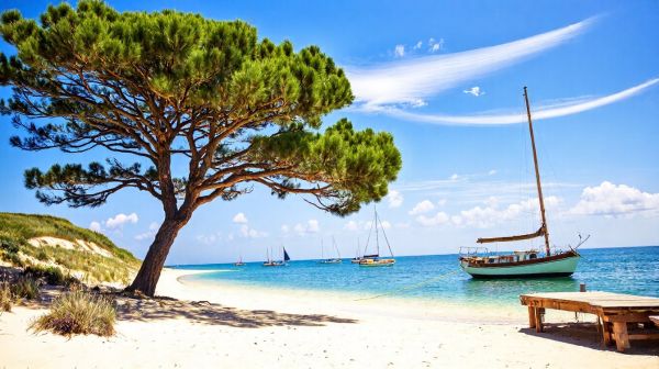 Top campings incontournables à explorer sur l'île d'Oléron